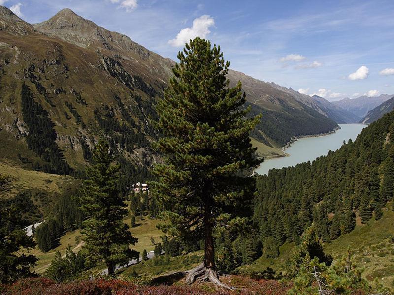 Plattnerhof Kaunertal