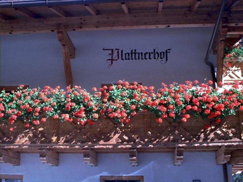 Plattnerhof